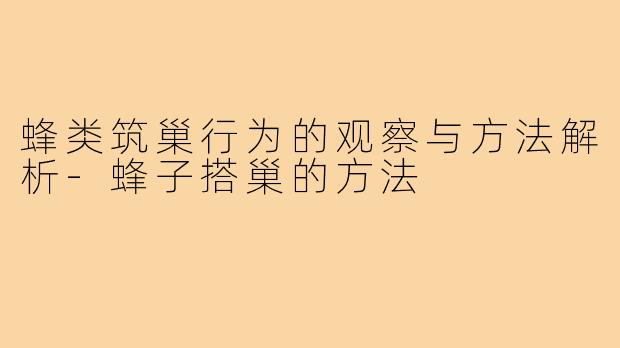 蜂类筑巢行为的观察与方法解析-蜂子搭巢的方法