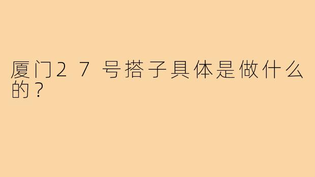 厦门27号搭子具体是做什么的？