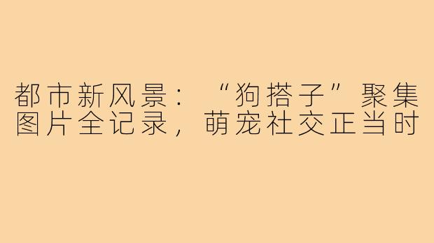 都市新风景：“狗搭子”聚集图片全记录，萌宠社交正当时