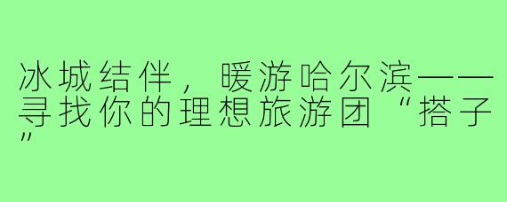 冰城结伴,暖游哈尔滨——寻找你的理想旅游团“搭子”