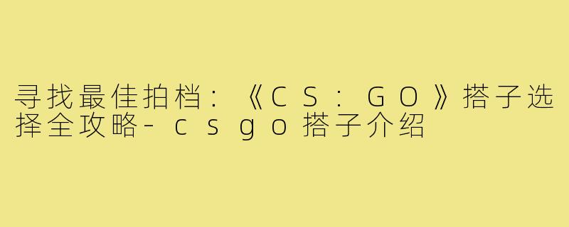 寻找最佳拍档：《CS:GO》搭子选择全攻略-csgo搭子介绍