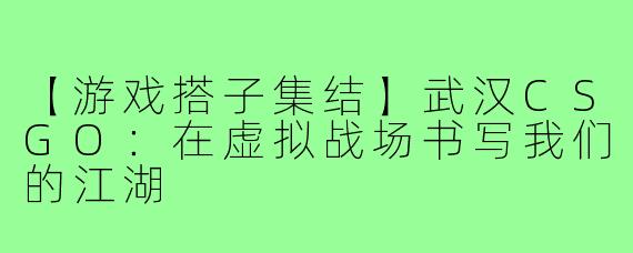 【游戏搭子集结】武汉CSGO：在虚拟战场书写我们的江湖