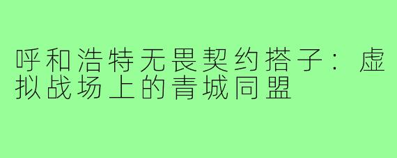 呼和浩特无畏契约搭子：虚拟战场上的青城同盟