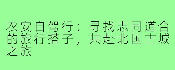 农安自驾行：寻找志同道合的旅行搭子，共赴北国古城之旅