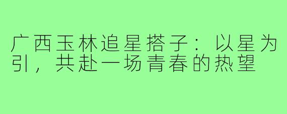 广西玉林追星搭子：以星为引，共赴一场青春的热望