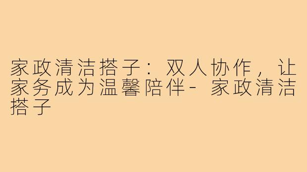 家政清洁搭子：双人协作，让家务成为温馨陪伴-家政清洁搭子