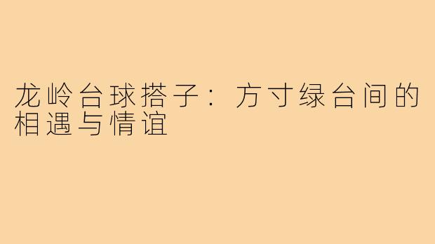 龙岭台球搭子：方寸绿台间的相遇与情谊