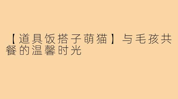 【道具饭搭子萌猫】与毛孩共餐的温馨时光