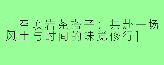 [召唤岩茶搭子：共赴一场风土与时间的味觉修行]