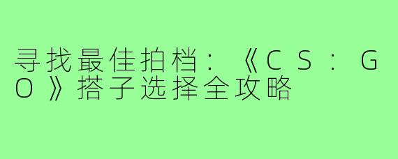 寻找最佳拍档：《CS:GO》搭子选择全攻略