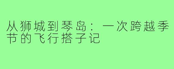 从狮城到琴岛：一次跨越季节的飞行搭子记