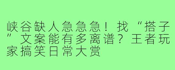 峡谷缺人急急急！找“搭子”文案能有多离谱？王者玩家搞笑日常大赏