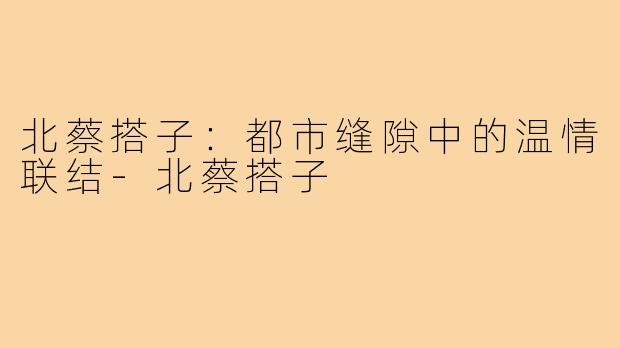 北蔡搭子：都市缝隙中的温情联结-北蔡搭子