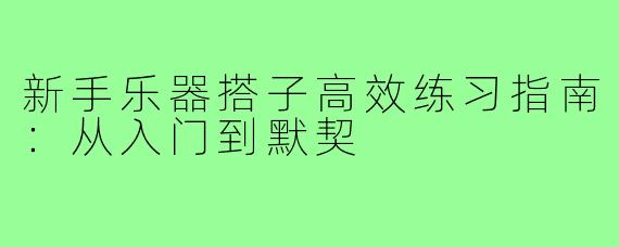 新手乐器搭子高效练习指南:从入门到默契