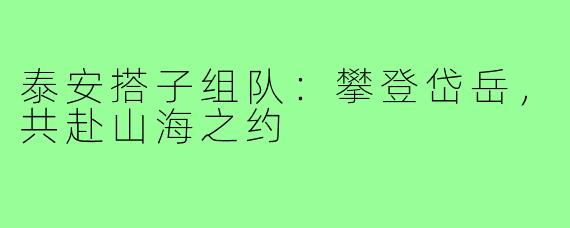 泰安搭子组队：攀登岱岳，共赴山海之约