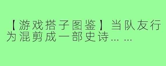 【游戏搭子图鉴】当队友行为混剪成一部史诗……