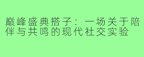 巅峰盛典搭子：一场关于陪伴与共鸣的现代社交实验