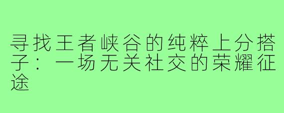 寻找王者峡谷的纯粹上分搭子：一场无关社交的荣耀征途