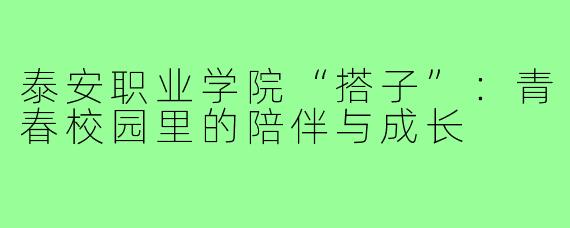 泰安职业学院“搭子”：青春校园里的陪伴与成长