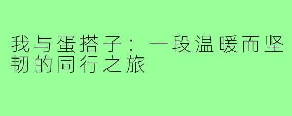 我与蛋搭子：一段温暖而坚韧的同行之旅