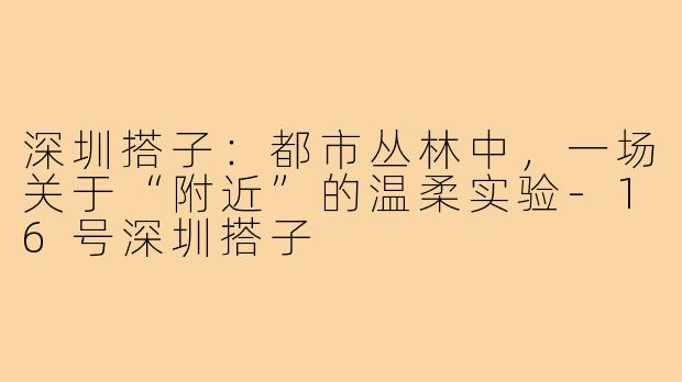 深圳搭子:都市丛林中,一场关于“附近”的温柔实验-16号深圳搭子