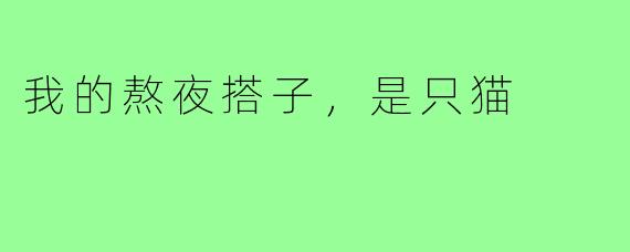 我的熬夜搭子，是只猫