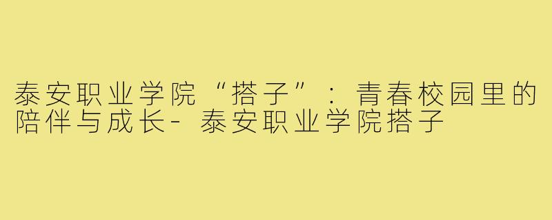 泰安职业学院“搭子”：青春校园里的陪伴与成长-泰安职业学院搭子