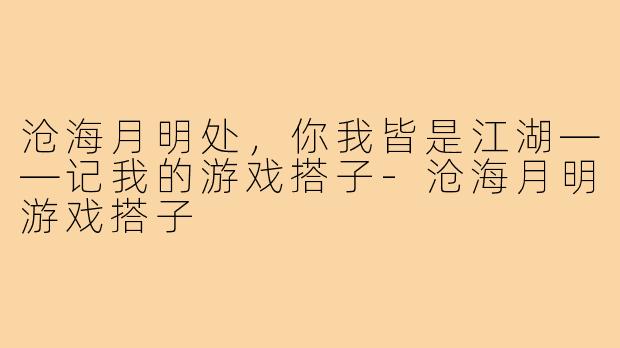 沧海月明处，你我皆是江湖——记我的游戏搭子-沧海月明游戏搭子