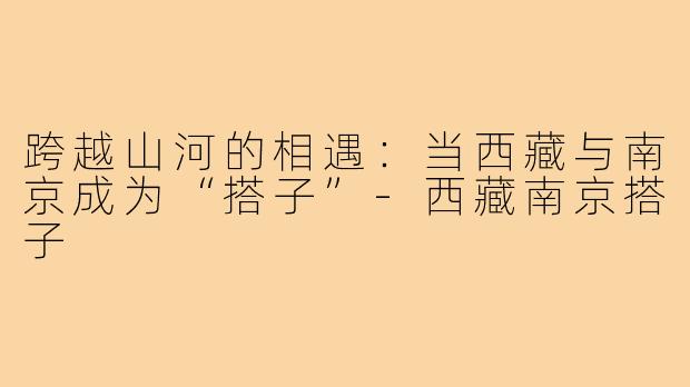 跨越山河的相遇：当西藏与南京成为“搭子”-西藏南京搭子