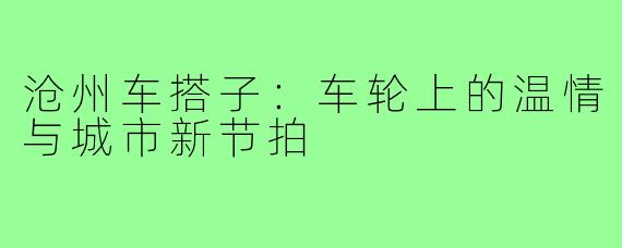 沧州车搭子:车轮上的温情与城市新节拍