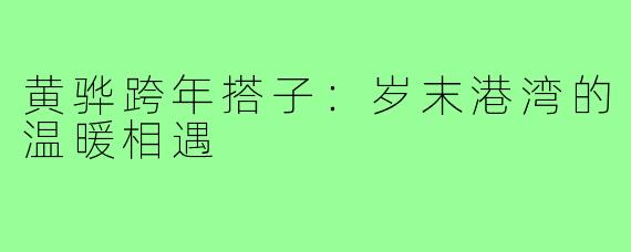 黄骅跨年搭子：岁末港湾的温暖相遇