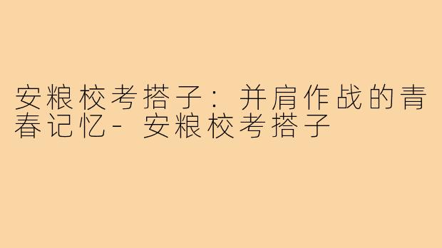 安粮校考搭子：并肩作战的青春记忆-安粮校考搭子