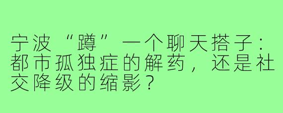 宁波“蹲”一个聊天搭子：都市孤独症的解药，还是社交降级的缩影？