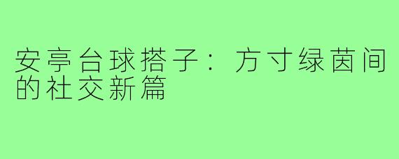 安亭台球搭子：方寸绿茵间的社交新篇