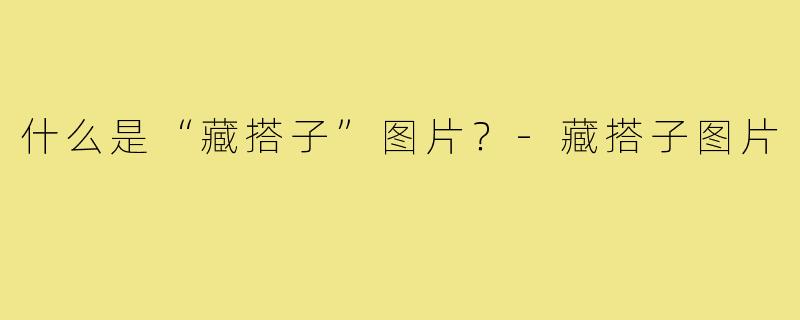 什么是“藏搭子”图片？-藏搭子图片