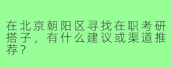 在北京朝阳区寻找在职考研搭子，有什么建议或渠道推荐？