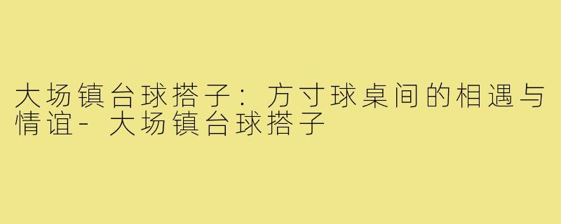 大场镇台球搭子：方寸球桌间的相遇与情谊-大场镇台球搭子