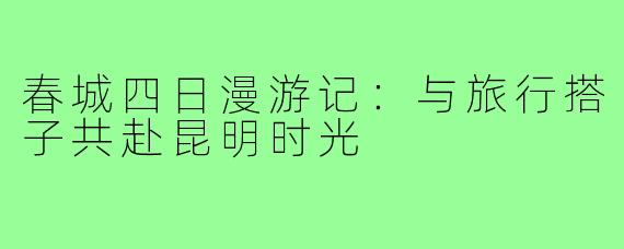 春城四日漫游记：与旅行搭子共赴昆明时光