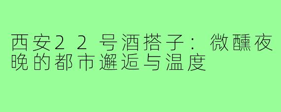 西安22号酒搭子：微醺夜晚的都市邂逅与温度