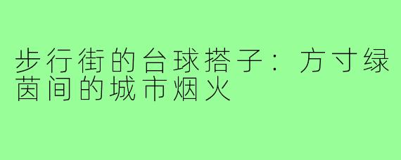 步行街的台球搭子：方寸绿茵间的城市烟火
