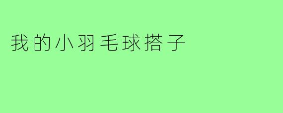 我的小羽毛球搭子