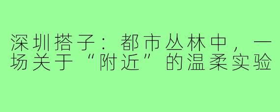 深圳搭子:都市丛林中,一场关于“附近”的温柔实验