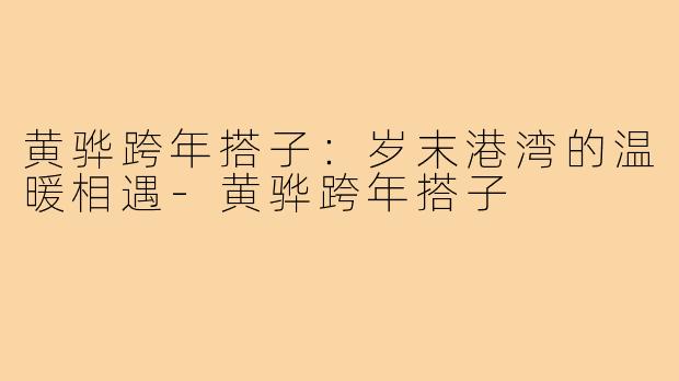 黄骅跨年搭子：岁末港湾的温暖相遇-黄骅跨年搭子