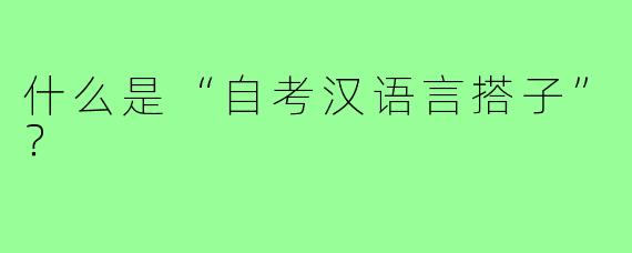 什么是“自考汉语言搭子”？
