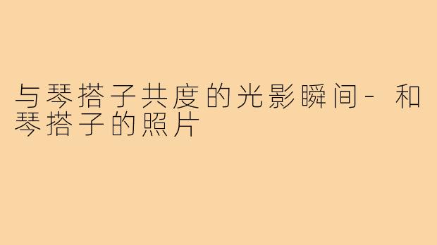 与琴搭子共度的光影瞬间-和琴搭子的照片