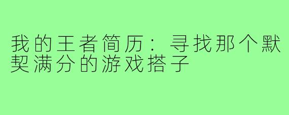 我的王者简历:寻找那个默契满分的游戏搭子