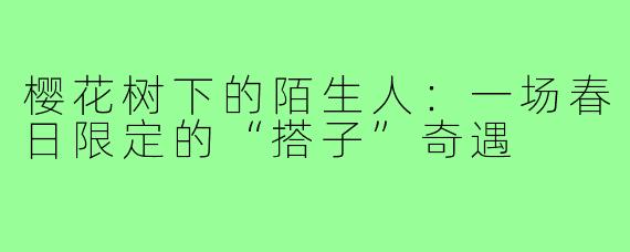 樱花树下的陌生人：一场春日限定的“搭子”奇遇