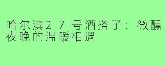 哈尔滨27号酒搭子：微醺夜晚的温暖相遇