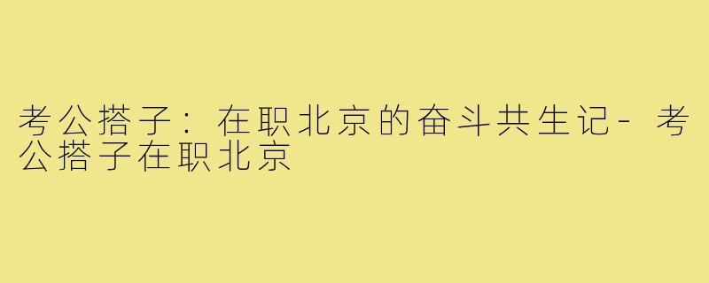 考公搭子:在职北京的奋斗共生记-考公搭子在职北京