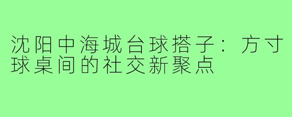 沈阳中海城台球搭子：方寸球桌间的社交新聚点